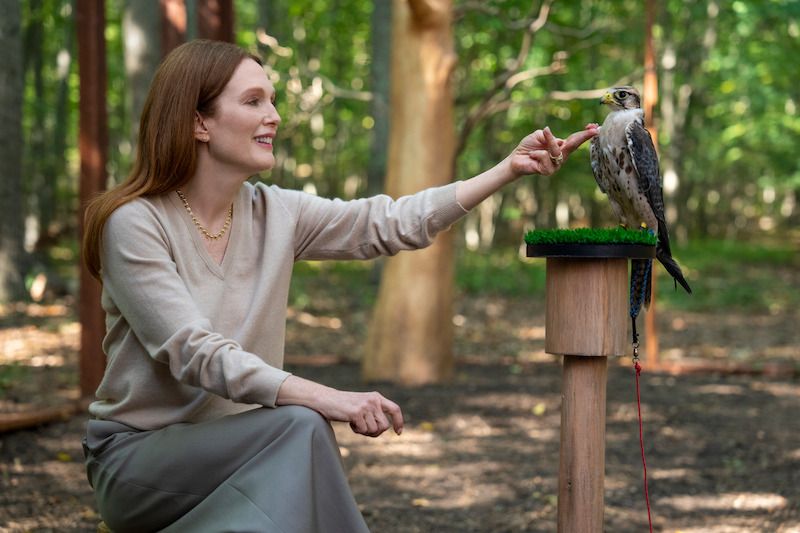 Michaela with a raptor